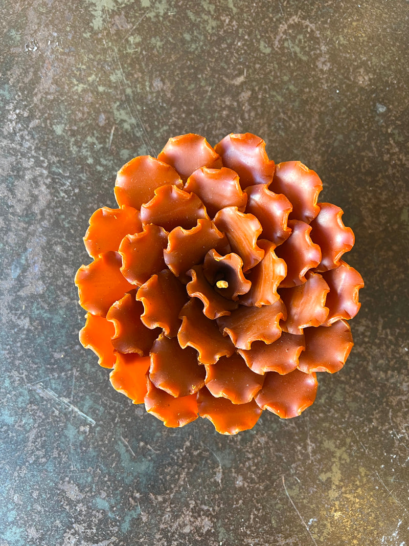 Annatto Flower Grande