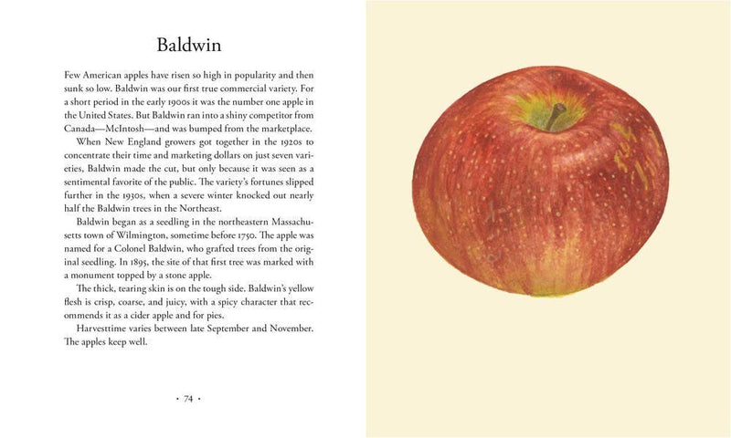 Apples: Hardcover