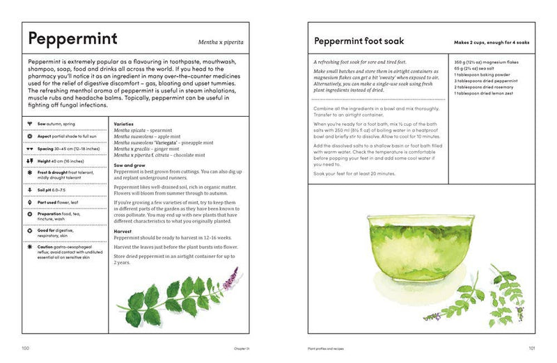 The Healing Garden: Cultivate Your Garden to Treat: Hardcover