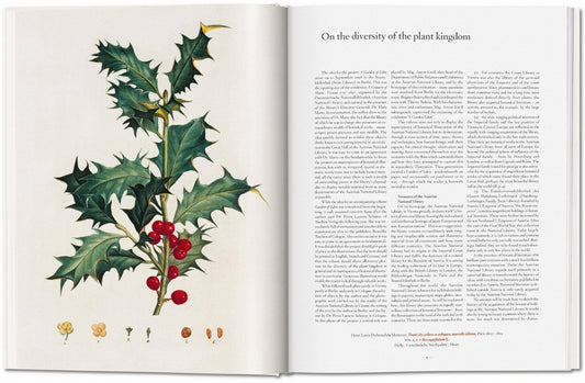 A Garden Eden, Masterpieces of Botanical Illustration