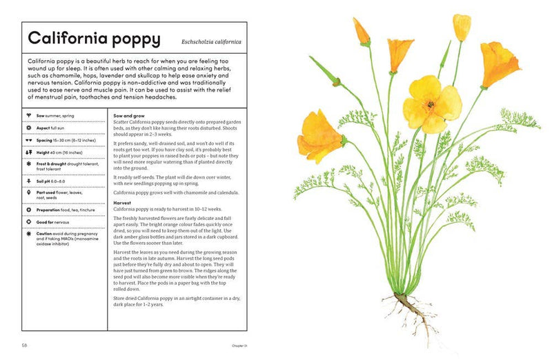 The Healing Garden: Cultivate Your Garden to Treat: Hardcover