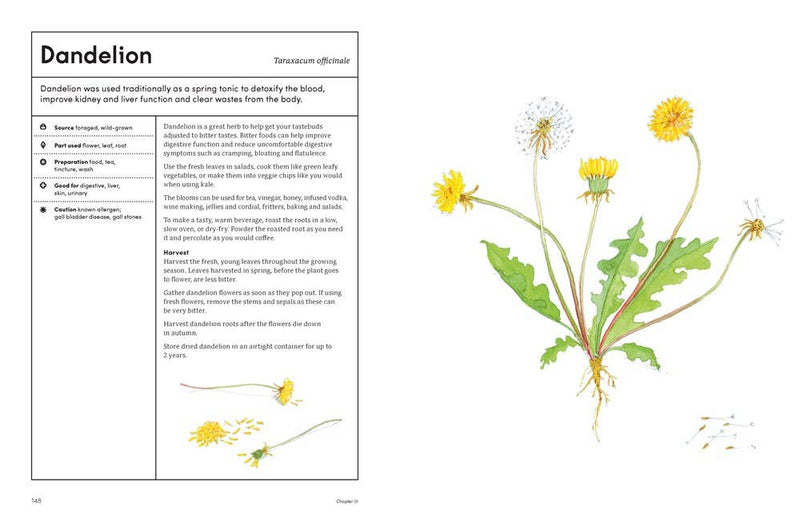 The Healing Garden: Cultivate Your Garden to Treat: Hardcover