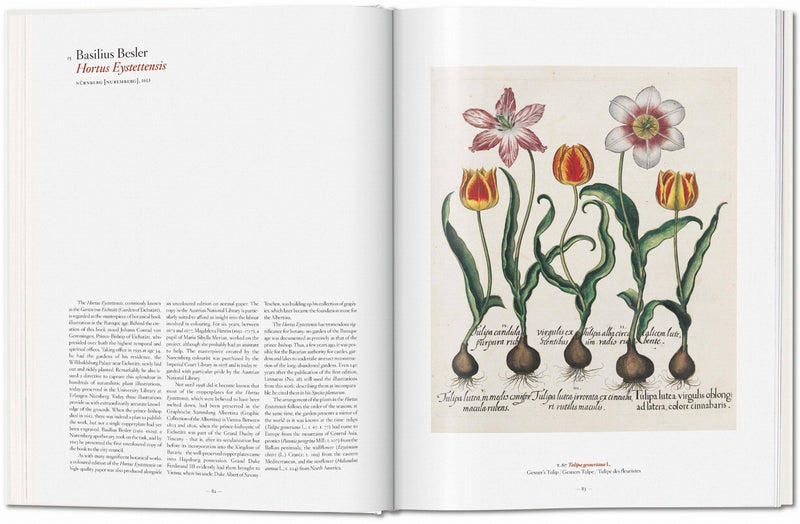 A Garden Eden, Masterpieces of Botanical Illustration