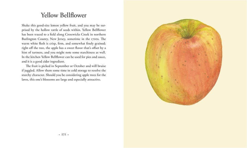 Apples: Hardcover