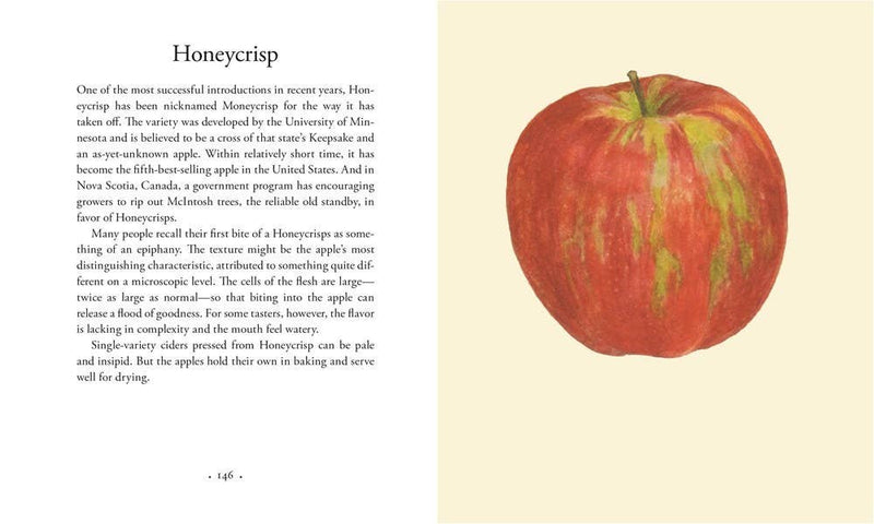 Apples: Hardcover