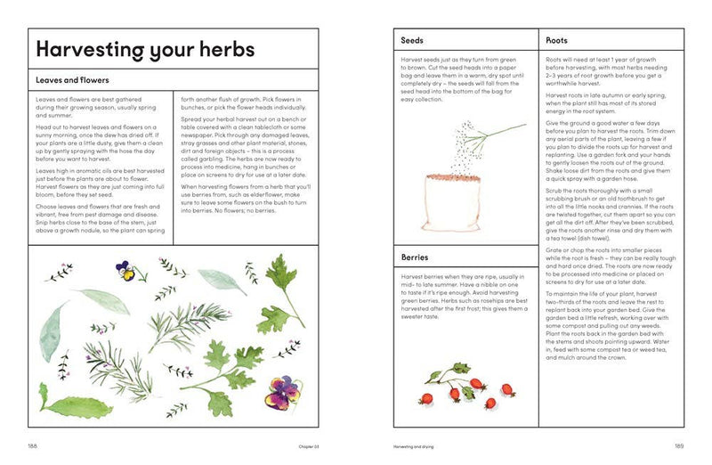 The Healing Garden: Cultivate Your Garden to Treat: Hardcover