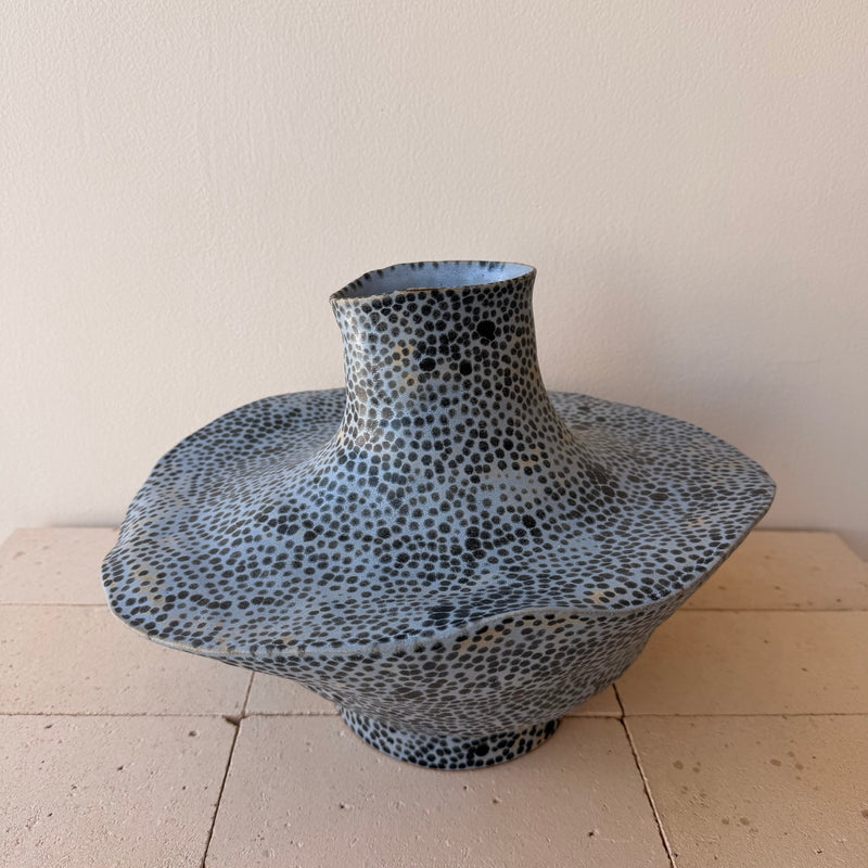 Jenny Rice - Matte blue with Anthracite Spots