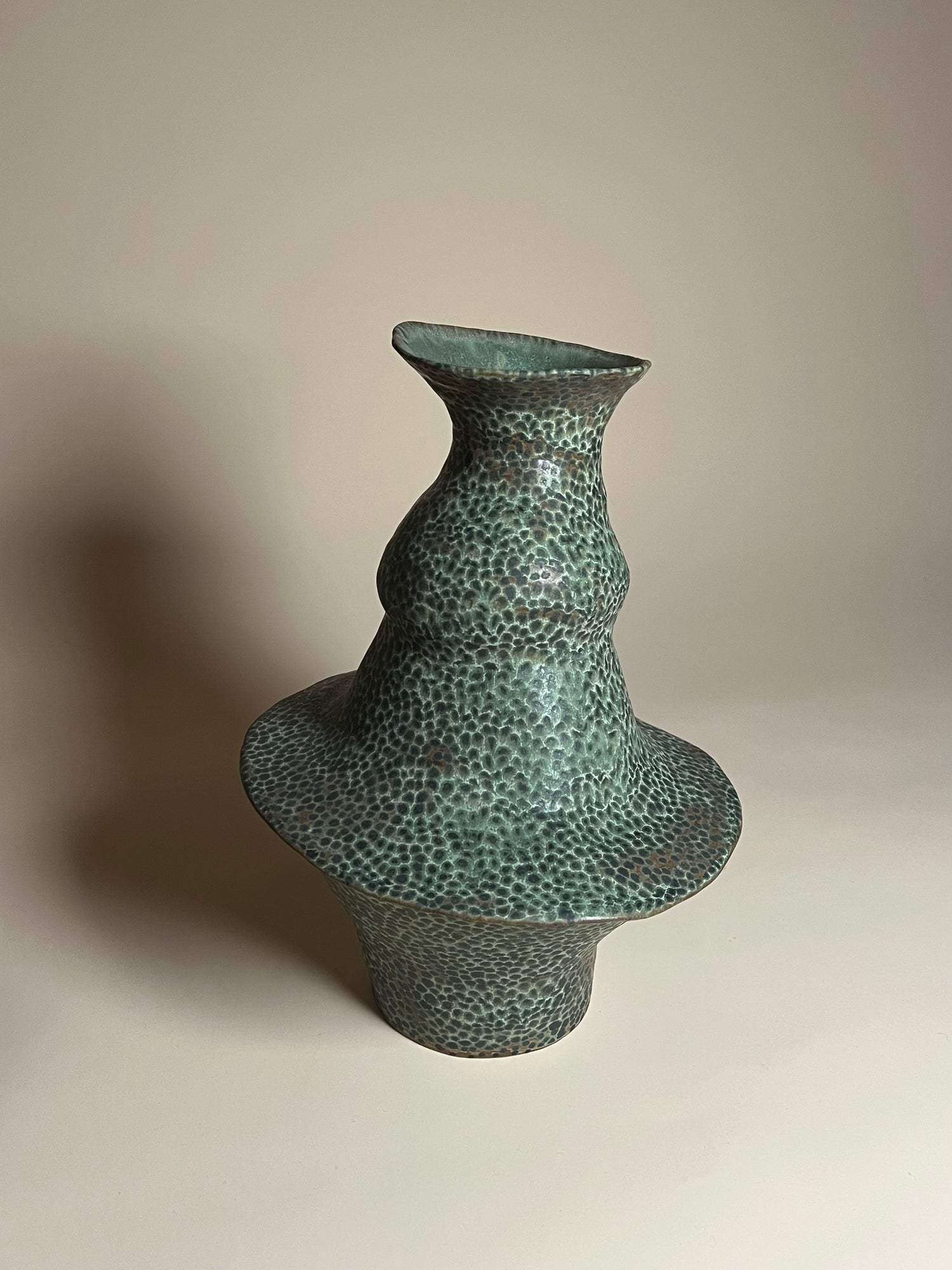 Jenny Rice -  Black Spotted Lichen