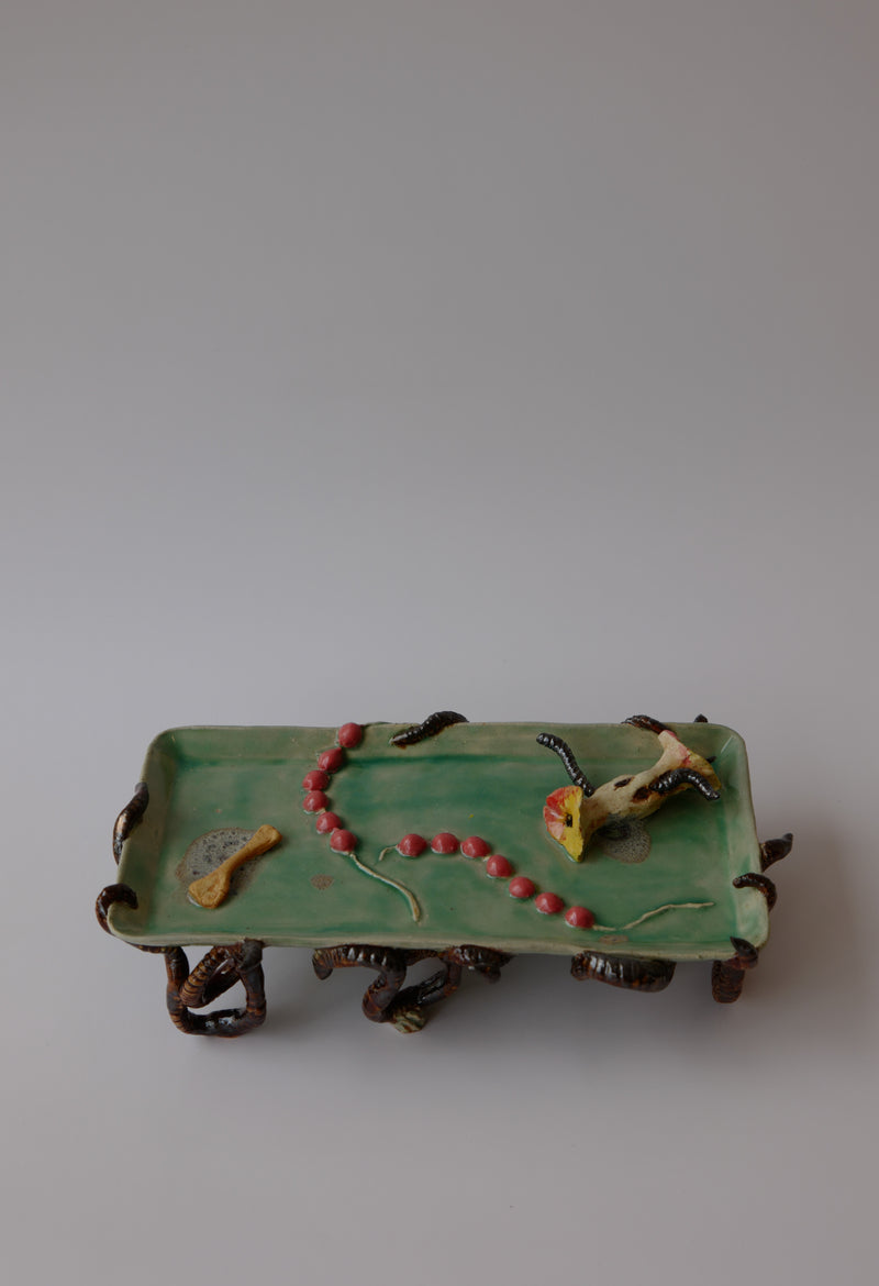Anya Ulinich - Apple Worm Tray