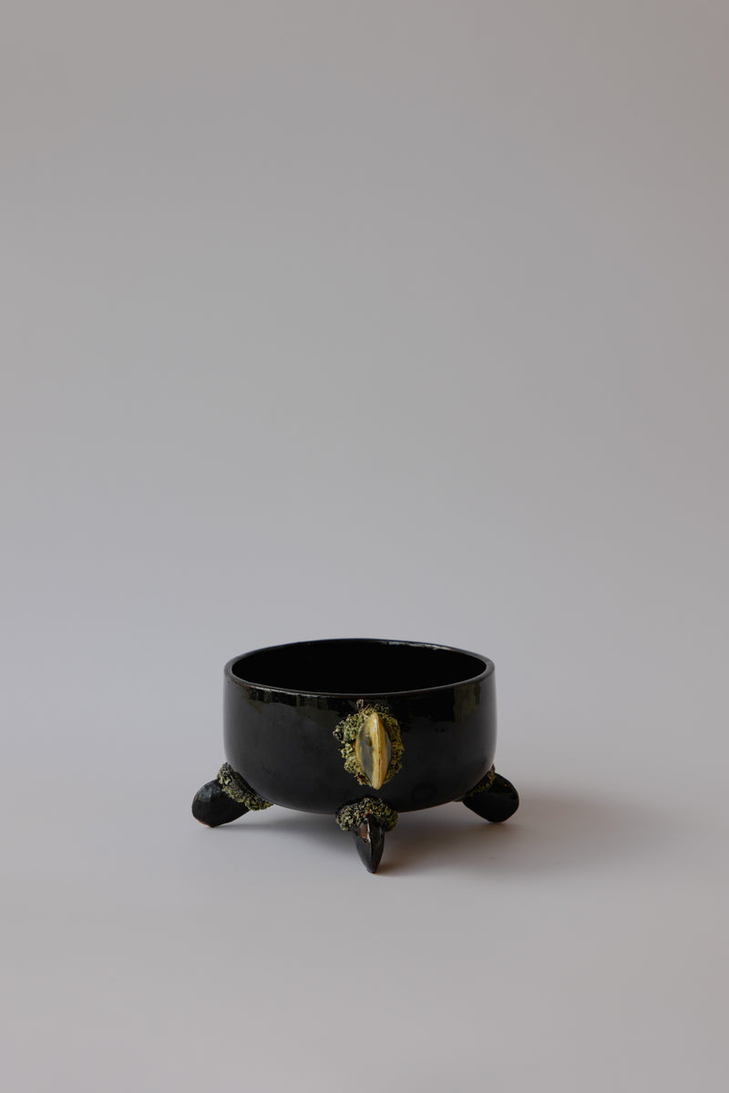 Vintage - Mussel Shell Bowl Set