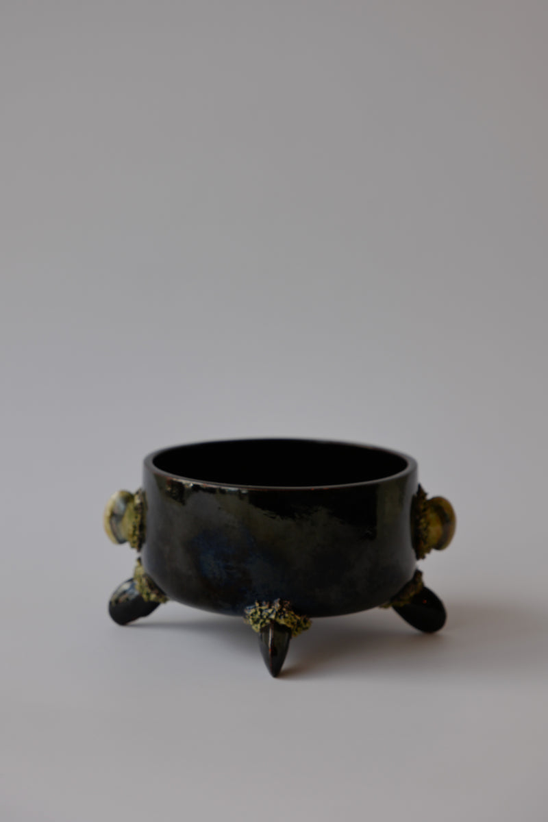 Vintage - Mussel Shell Bowl Set