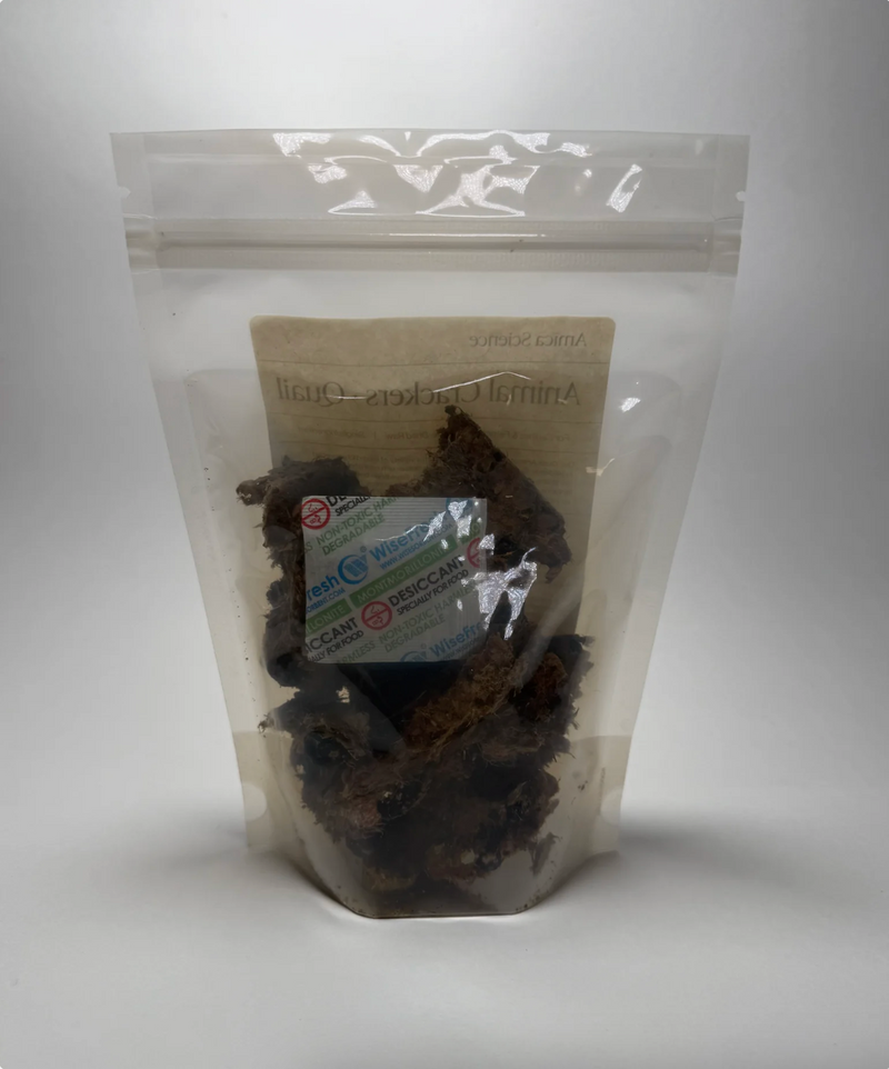 Amica Science - Animal Crackers - Quail