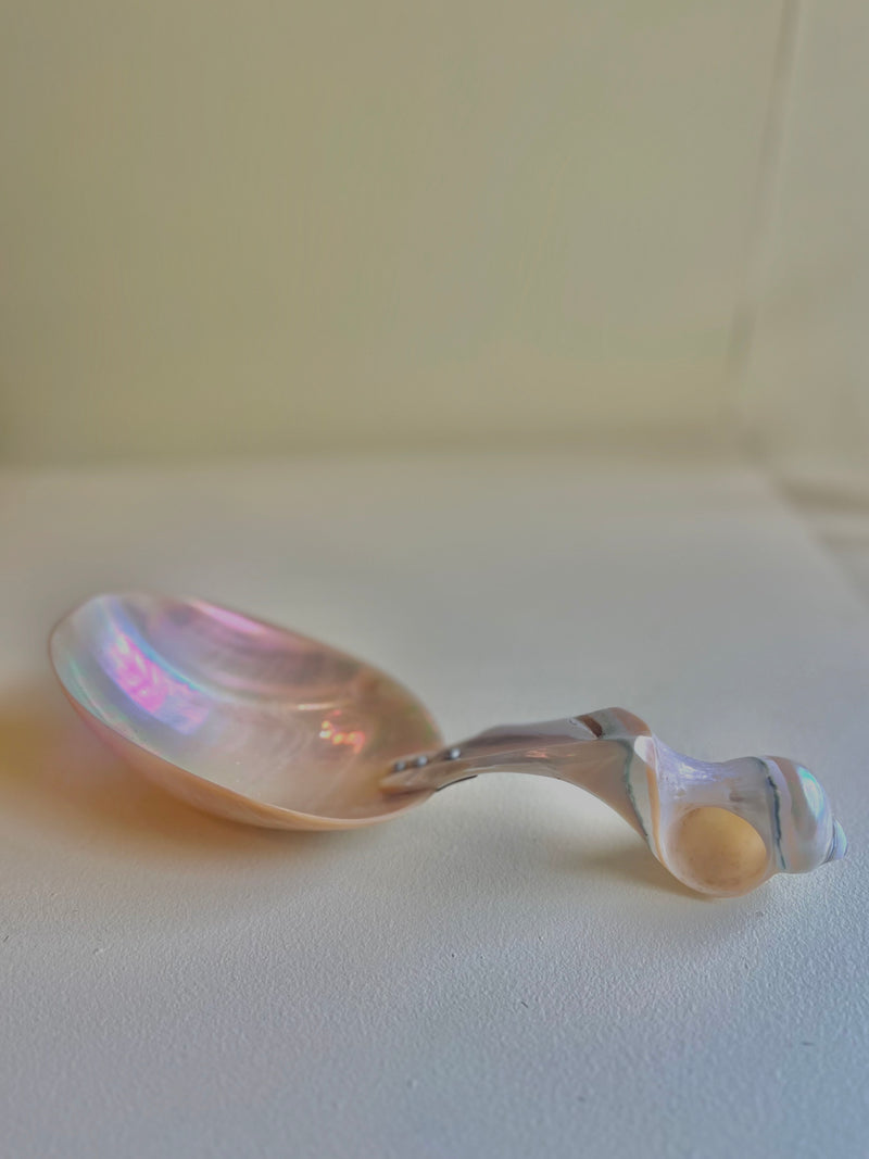 Vintage - Mother of Pearl Shell Spoon