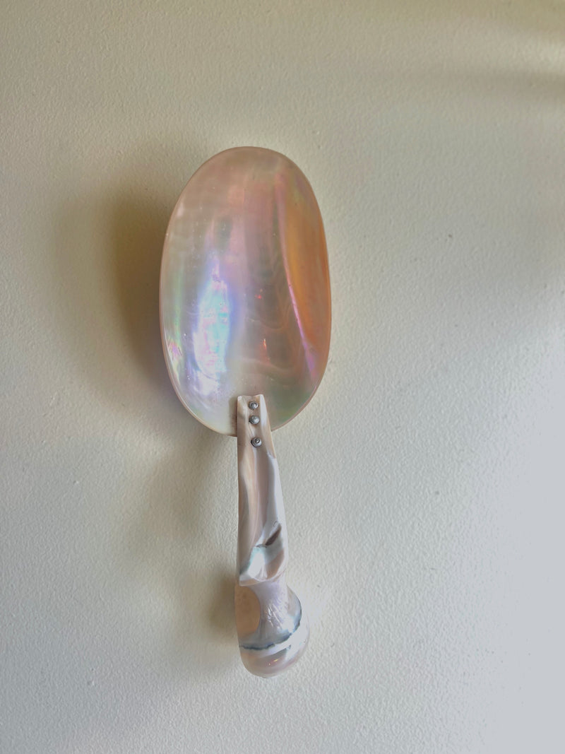 Vintage - Mother of Pearl Shell Spoon