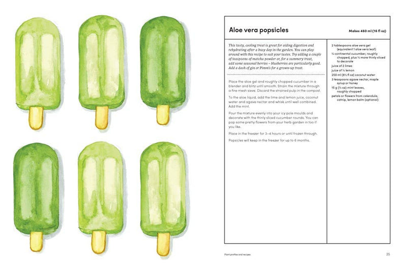 The Healing Garden: Cultivate Your Garden to Treat: Hardcover