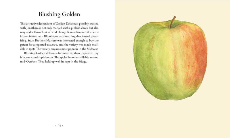 Apples: Hardcover